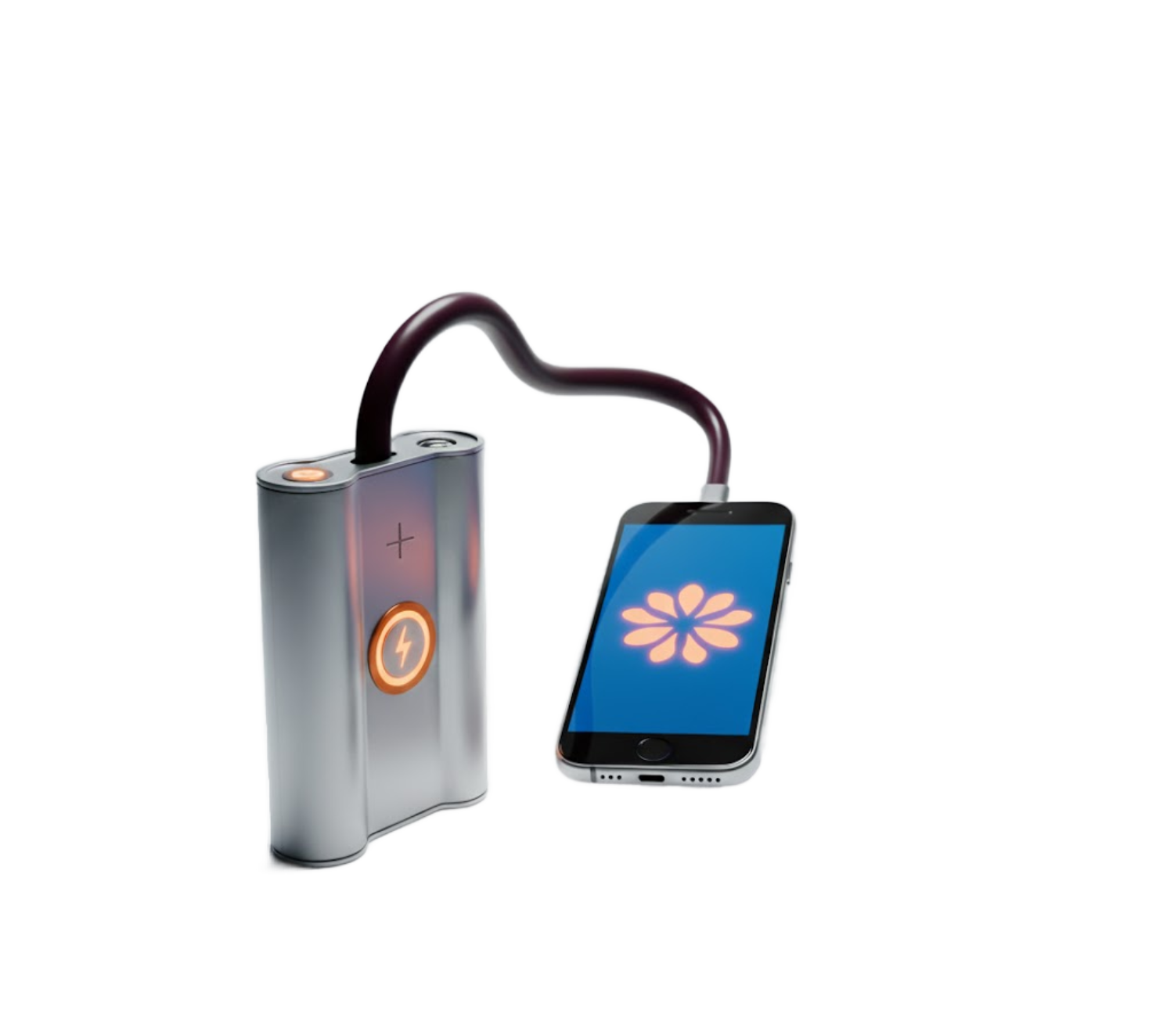 Renata CR2430 Battery